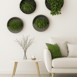 Hanging Wally 4er Set Schwarz / Grau