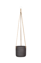 Hanging Charlie Schwarz