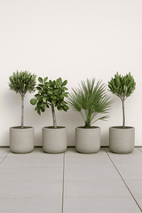 4x Charlie Grey Washed Ø:25 L