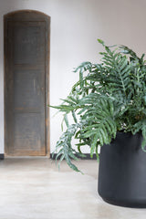 Jumbo Patt Fiberstone Schwarz