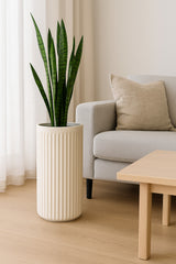 Turris Ionic - Seidenweiß