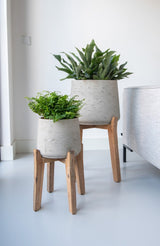 Patt Grey Washed Feet High