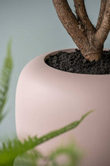 Sphere Low Elemental - Puderrosa