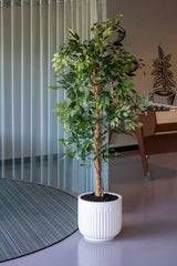 Arcus Ionic - Seidenweiß