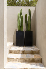 Bouvy Fiberstone Schwarz