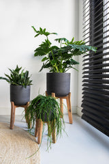 Charlie Black Washed Feet High