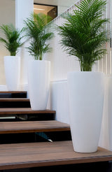 DAX Fiberstone Matt Weiß Finestgreen