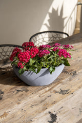 Dorant Fiberstone Grau