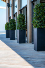 Bouvy Fiberstone Schwarz