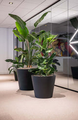 Bucket Fiberstone Schwarz