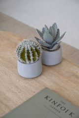 Cactus künstlich im Zementtopf (Pflanze inkl. Topf)