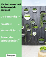 Hanging Wally handgefertigt aus Fiberstone 8er Set