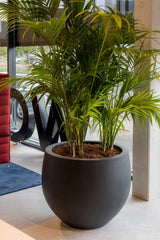 Jumbo Orb Fiberstone Schwarz