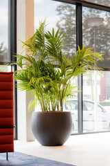 Jumbo Orb Fiberstone Schwarz