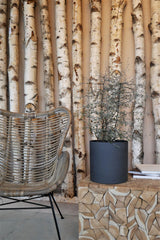 Mini Max Volcano Anthrazit