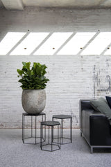 Gillard Oyster Imperial Weiß