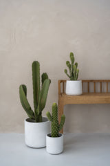 Kaktus Opuntia Künstlich H: 41cm