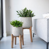 Feet High Pflanzenständer handgefertigt aus Naturholz