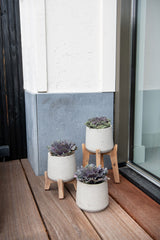 Patt Grey Washed Feet High