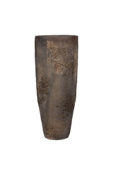 Dax Oyster Imperial Braun