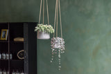 Hanging Patt Set Grau