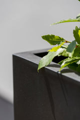 Bouvy Fiberstone Schwarz