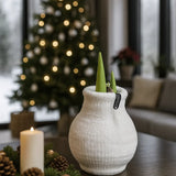 Amaryllis Zwiebel Cozy Weiß