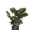 Ø:24 H:70 cm