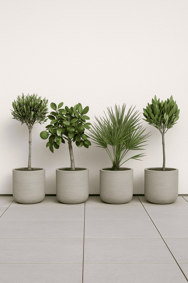 4er Charlie Grey Washed Set L