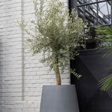 Pax Fiberstone Grau