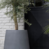 Pax Fiberstone Grau