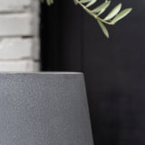 Pax Fiberstone Grau