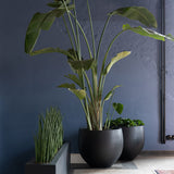 Orb Fiberstone Schwarz