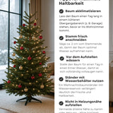 Echte Nordmanntanne 125–150 cm – Premium Weihnachtsbaum