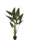 Alocasia Taro Künstlich H: 160cm