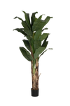 Bananenbaum Künstlich H: 205cm