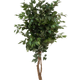 120 cm