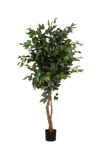 Ficus Baum Künstlich H: 150cm