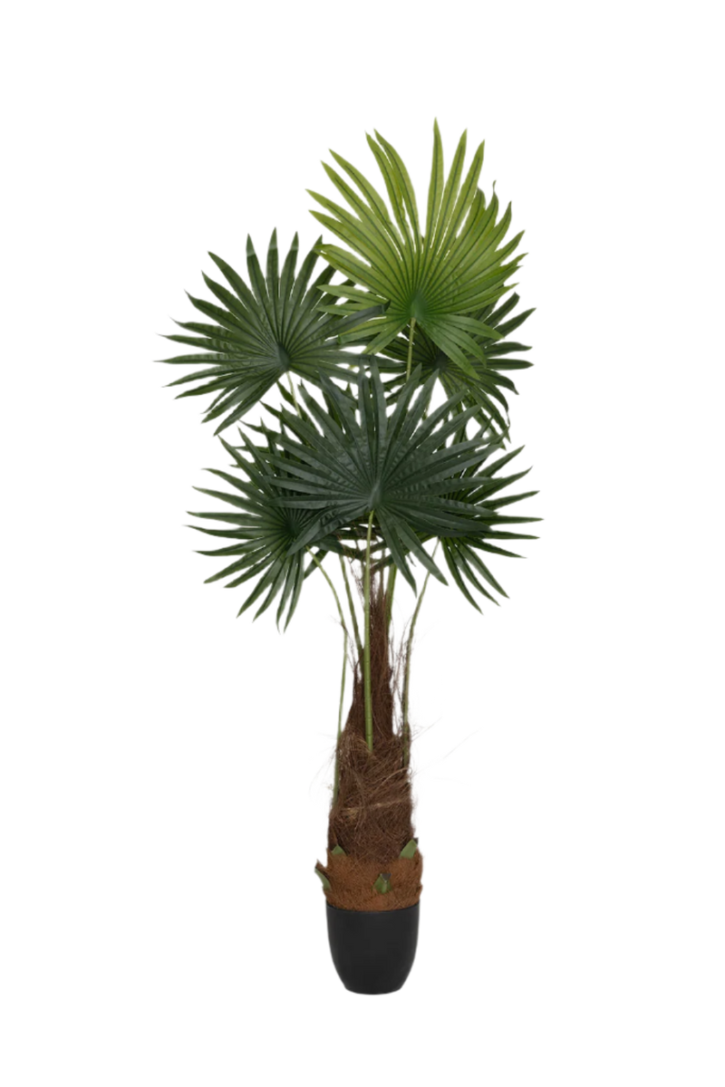 Palme Künstlich H: 220cm