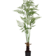 120 cm
