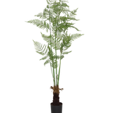Farne Künstlich H: 150cm