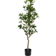 130 cm