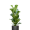 Ø:17 H:60 cm