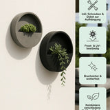 Hanging Wally 3er Set Ø 50