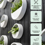 Hanging Wally Hochglanz Weiß