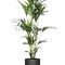 Ø:24 H:170 cm