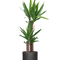 Ø:17 H:80 cm
