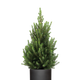 Ø:26 H:90 cm