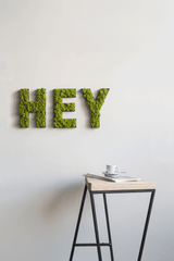 Islandmoos Piktogramm Buchstabe