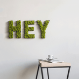 Islandmoos Piktogramm Buchstabe